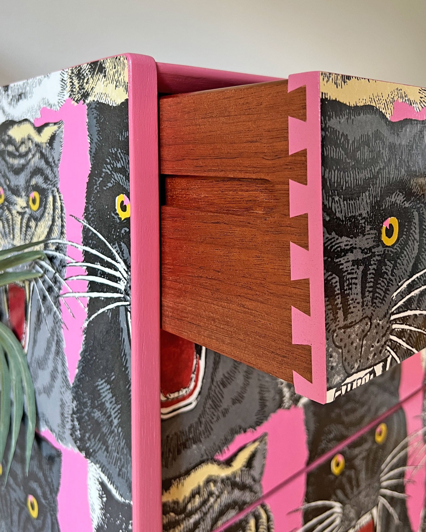 Vintage G Plan Tola Tallboy Chest of Drawers - Rare Gucci Pink Tiger Faces - ‘The Catwalk’