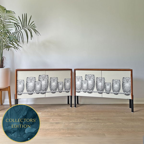 Vintage G Plan Small Teak Cabinet Featuring Fornasetti Nottambule Owls - ‘Nottambule’