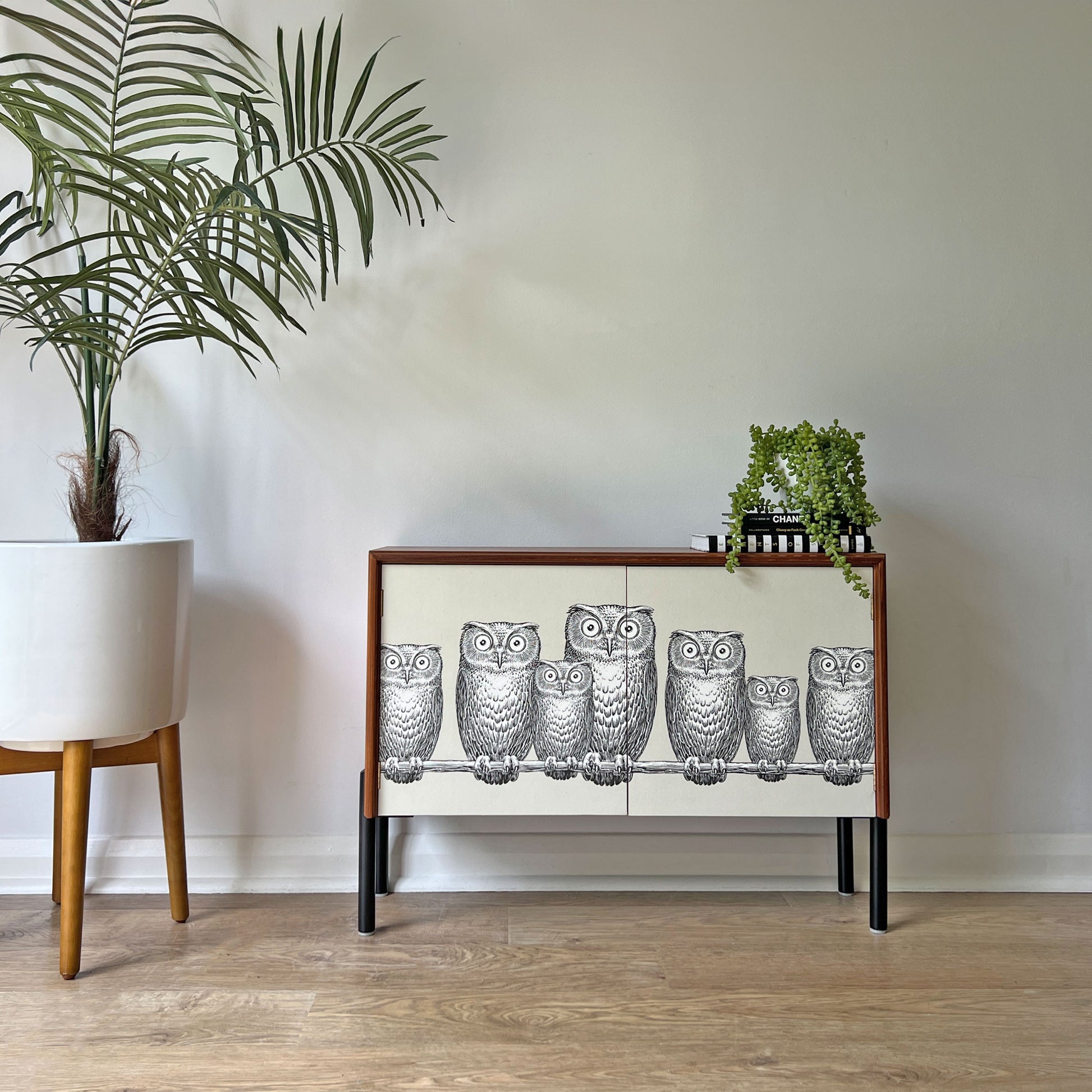 G Plan cabinet featuring rare Fornasetti 'Nottambule' owl print, with a stone-textured background and matte black legs for a bold contemporary statement.